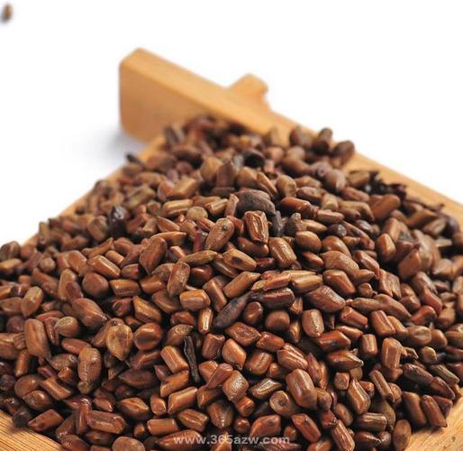 决明子茶的功效与作用详解