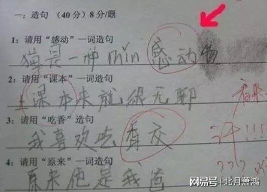 小学生"奇葩"造句,老师看完拍桌子,家长看完追了8条街