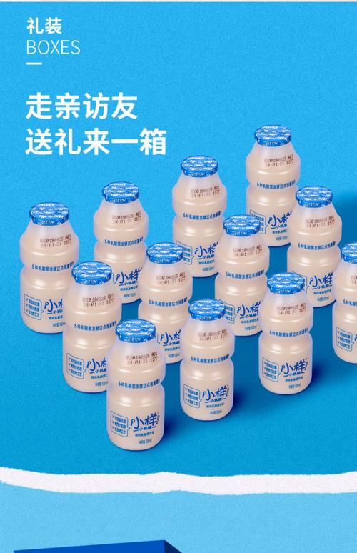小样乳酸菌饮料100ml*20瓶礼盒装