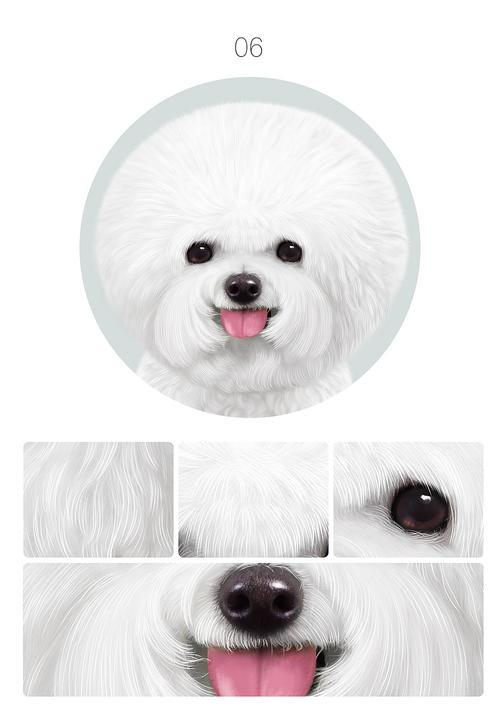 小狗简笔画比熊