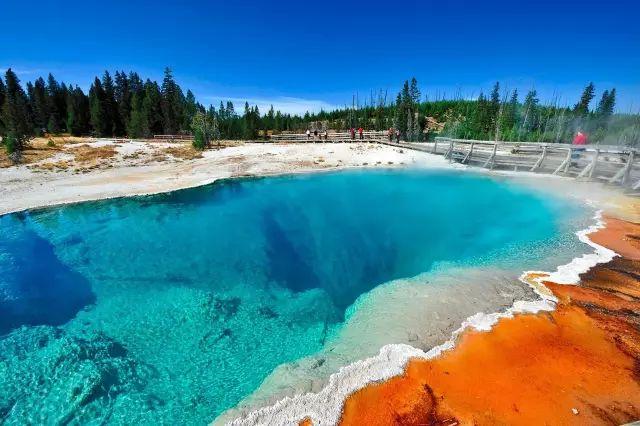 第五天 黄石国家公园