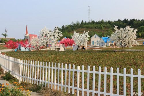 绵阳杨家镇香草园一日游
