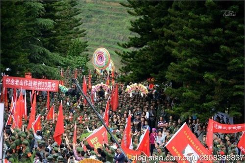 千余老兵麻栗坡烈士陵园祭英烈 重温"老山精神"