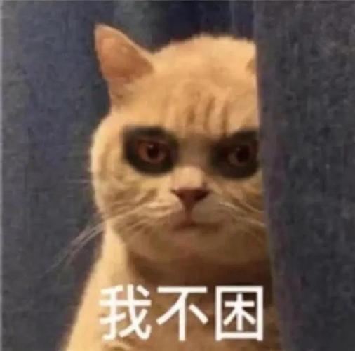 搞笑表情包更新:看把你小子能的