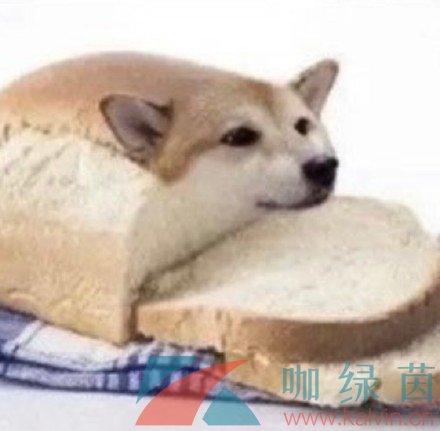 抖音面包狗香肠狗表情包分享