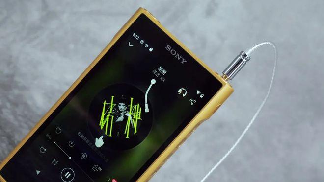 将门虎子黄金甲索尼wm1zm2二代金砖播放器