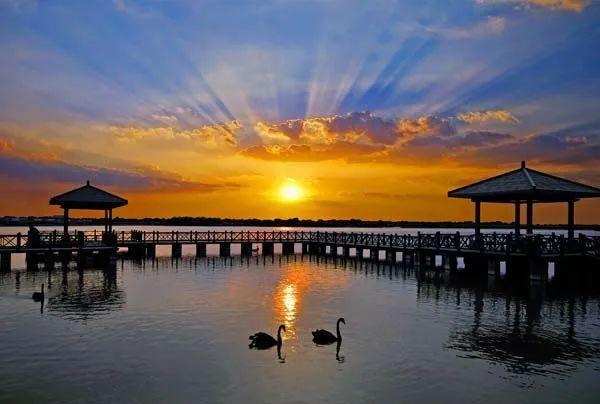 东营黄河口生态旅游区入选5a级景区影响力100强榜单