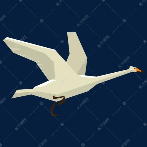 白色的家禽鹅插画