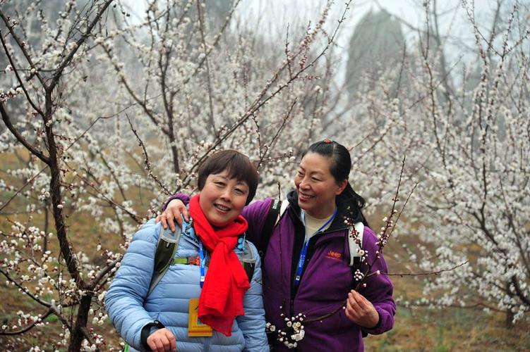 野趣:春暖花开,新密尖山杏花村踏青赏花