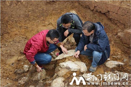 2016湖北考古业务成果交流会在荆举行 荆门六大古遗迹撩开神秘面纱