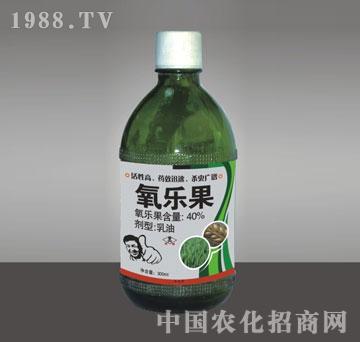 好义农-氧乐果