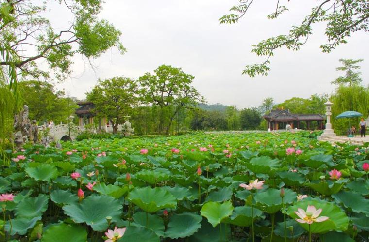 美丽的公园作文500字四年级写景作者:张中硕我家附近有一个公园,一年