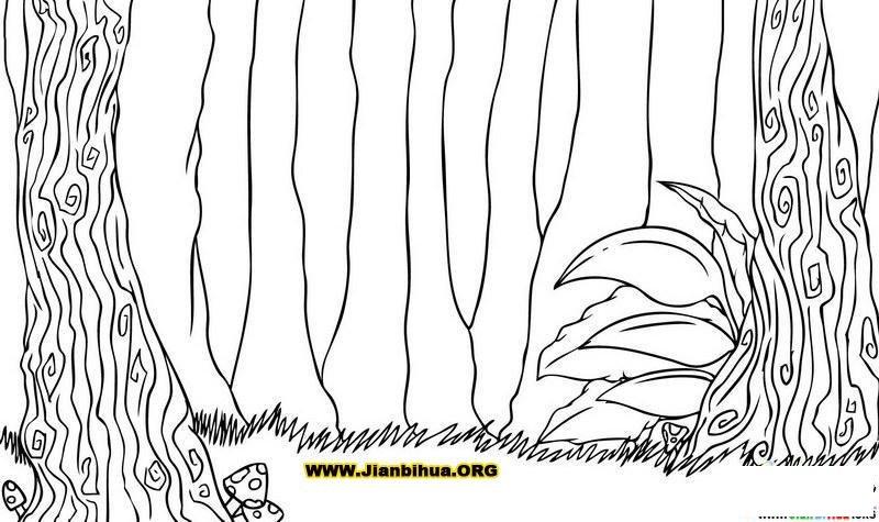 森林简笔画图片作品-儿童简笔画大全