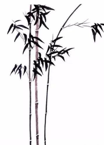 【国画教程】竹叶的详细画法及技巧_竹子