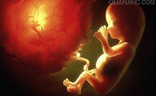 胎儿最初的50天长成啥样?