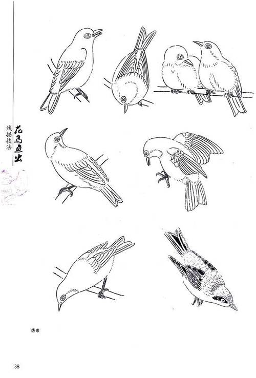 花鸟鱼虫线描技法