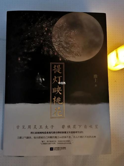 提灯映桃花淮上亲签