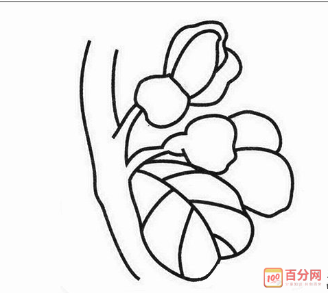 紫荆花简笔画画法9岁以下 简笔画图片大全-蒲城教育文学网