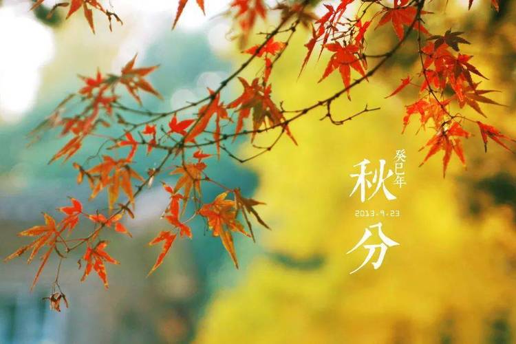 秋分春分啥意思_秋分意味着什么意思_秋分后顿凄冷意思