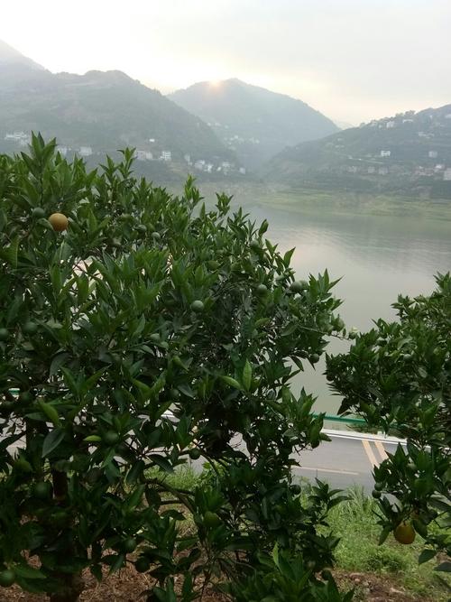 湖北省宜昌市秭归县归州镇金家坝天气预报