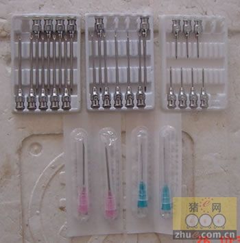 图解给猪注射的部位