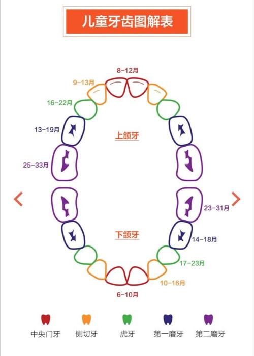 儿童牙齿问题图解大全,必看