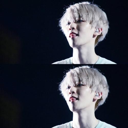 [exo]#边伯贤#啵啵虎银发高颜值 特辑[草泥马]我要冷静冷静[草泥马]这