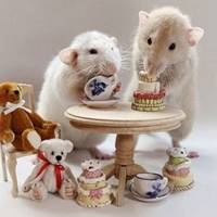 微信头像图片动物老鼠