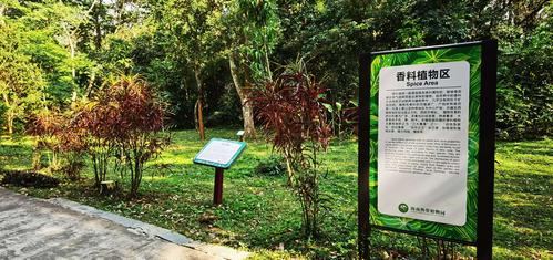 海南儋州热带植物园