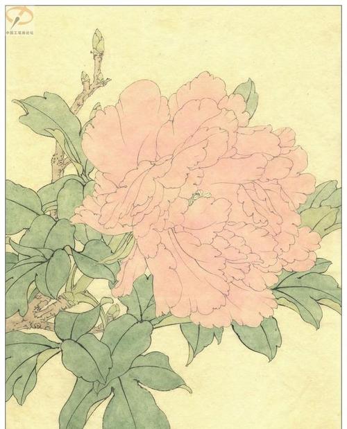 李晓明《牡丹》工笔画(着色绘制步骤图)第三辑