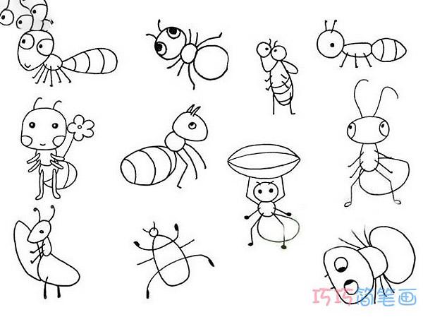 带步骤图蚂蚁简笔画图片 各种蚂蚁怎么画简单易学