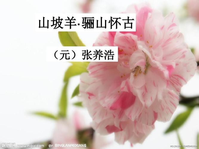 山坡羊· 骊山怀古 (元)张养浩 山坡羊· 骊山怀古