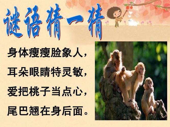 大班语言 猴子学样ppt