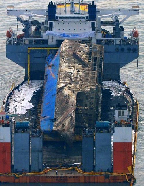 韩军方曾建议朴槿惠"别打捞世越号":花钱还不讨好