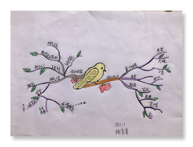 《珍珠鸟》之思维导图