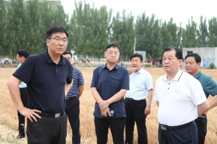 辉县市长调研"三夏"及防汛工作