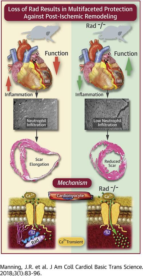 nagareddy, phd e,  christopher m.