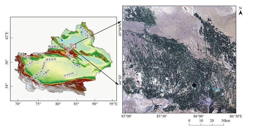 玛纳斯河流域盐渍化灌区生态环境遥感监测研究