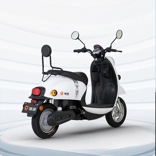 电动车轻便电瓶代步续航车长龟王雅迪