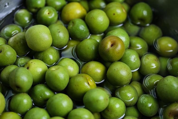 青梅图片_青梅图片大全_全景图片