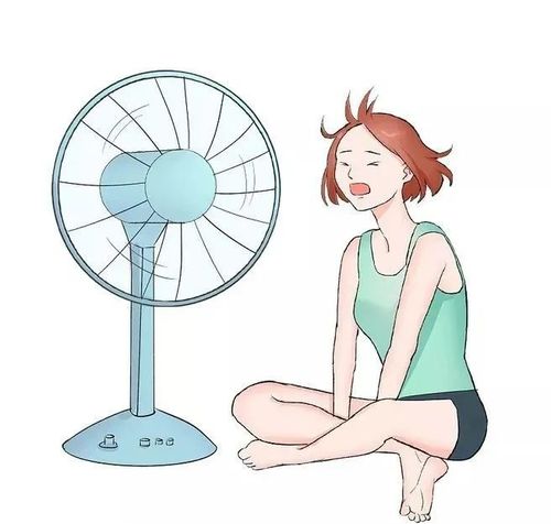 风扇篇