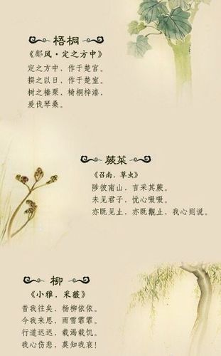 "《诗经》里优美的植物诗句…"更多精彩敬内容请关注