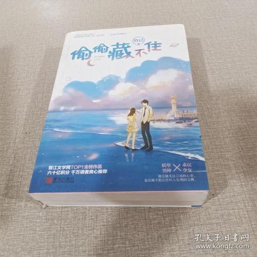 偷偷藏不住全二册竹已晋江金榜作品段嘉许vs桑稚