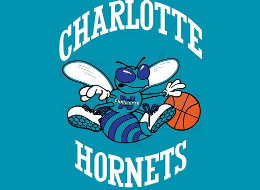 联盟正式批准山猫改队名 11年后黄蜂终于飞回巢