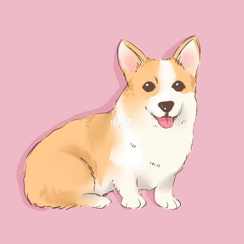 超级可爱的卡通宠物头像_卡通_宠物_手绘_简笔画_动漫