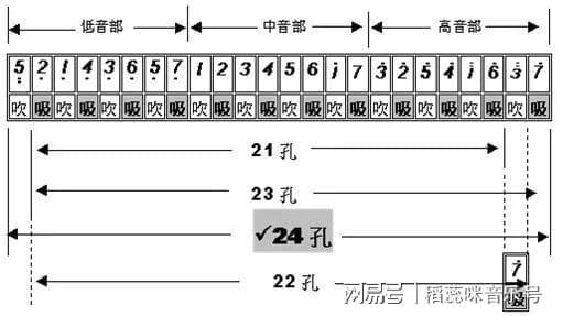 乐理知识第一弹——口琴入门知识(复音口琴篇)