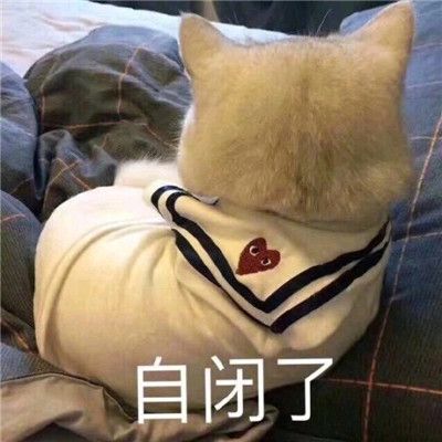 自闭时用的超搞笑个性表情包