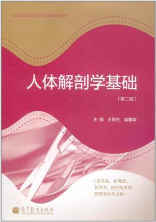 人体解剖学基础