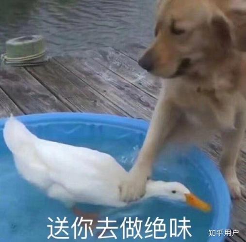 张娅