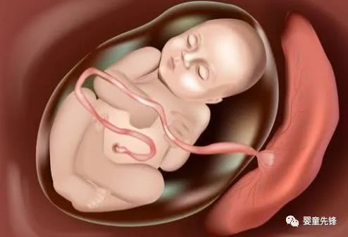 【母婴】剖腹产为何要在孕38周而不是40周?别看只差两